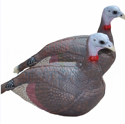 Turkey archery shooting target simulation animal model