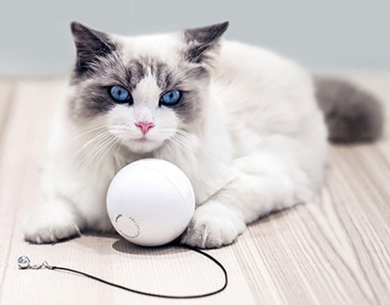 Balle de jouet interactive automatique intelligente pour chat