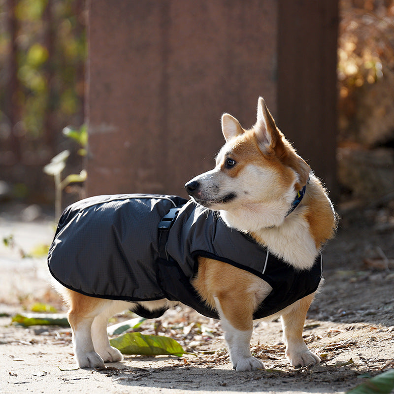 Chubasquero impermeable para perros