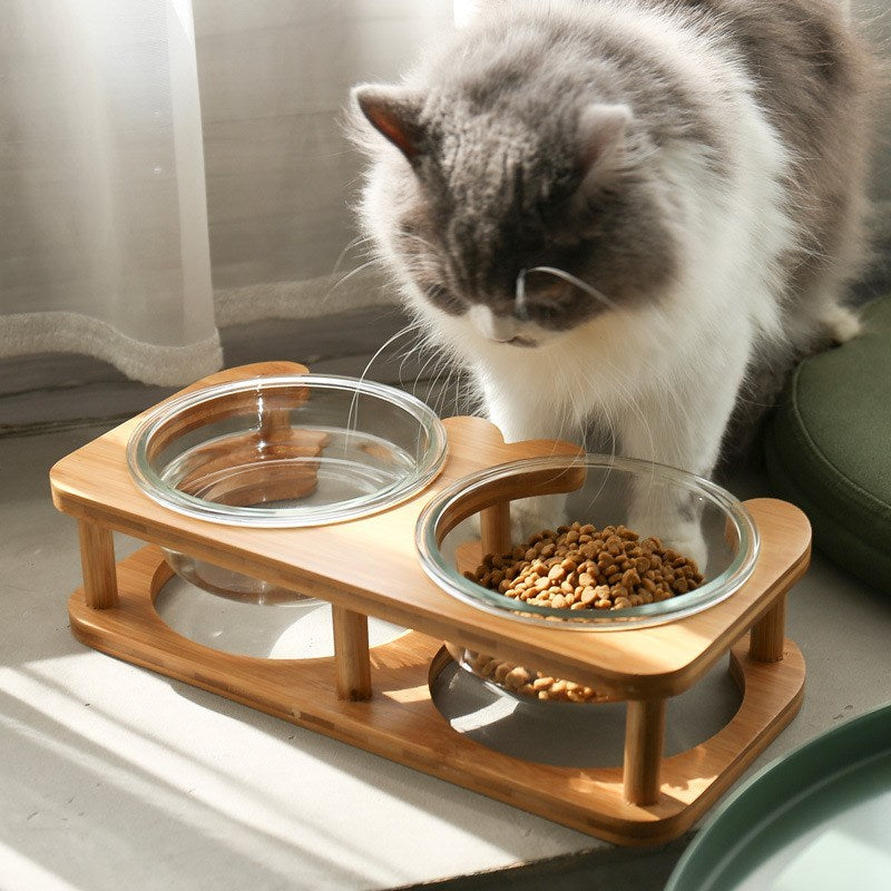 Cuenco de cristal para comida para gatos, cuenco para comida para gatos