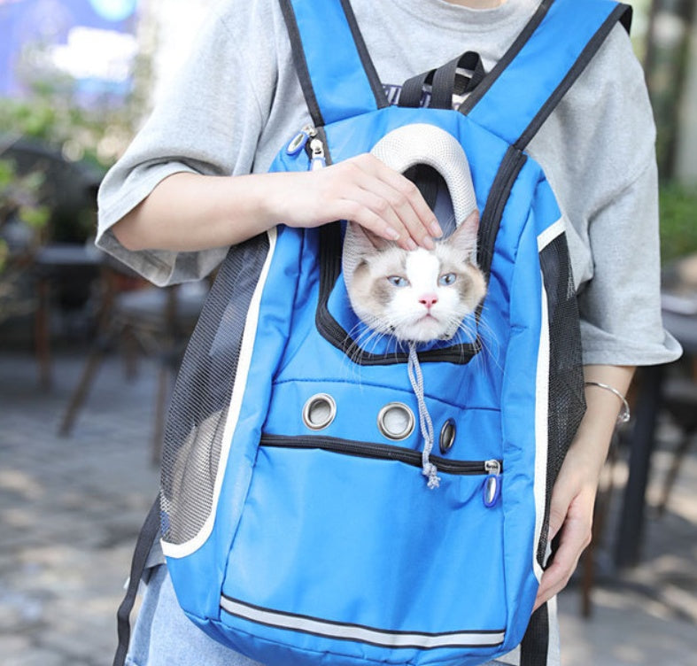 Cat bag pet outing backpack