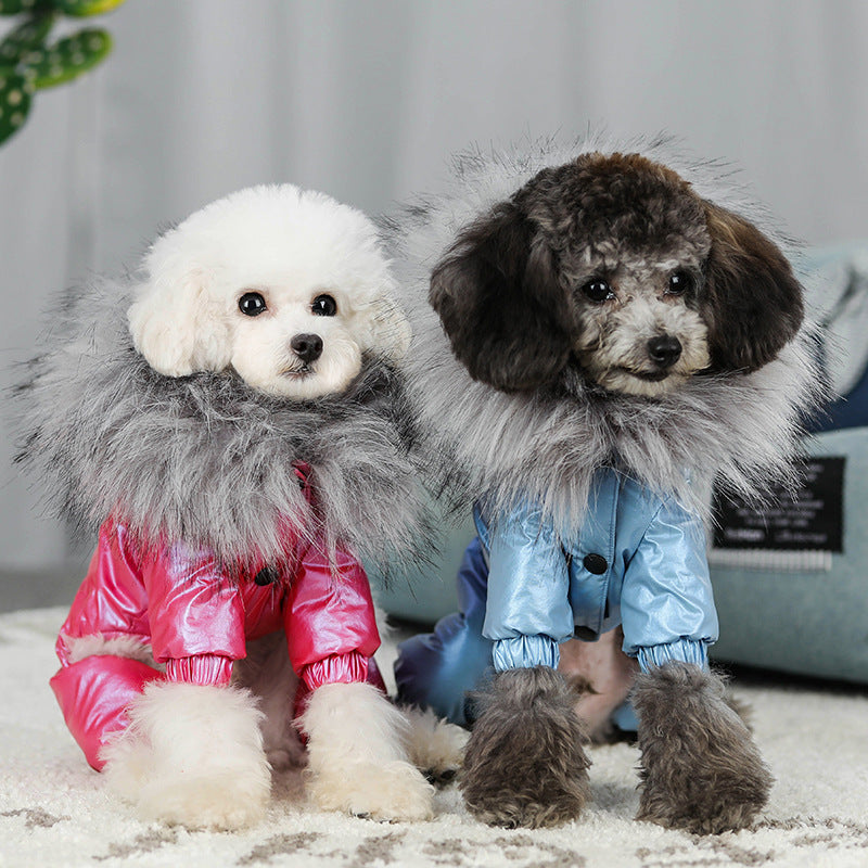 Manteau d'hiver rembourré en duvet pour animaux de compagnie, vêtements pour chiens