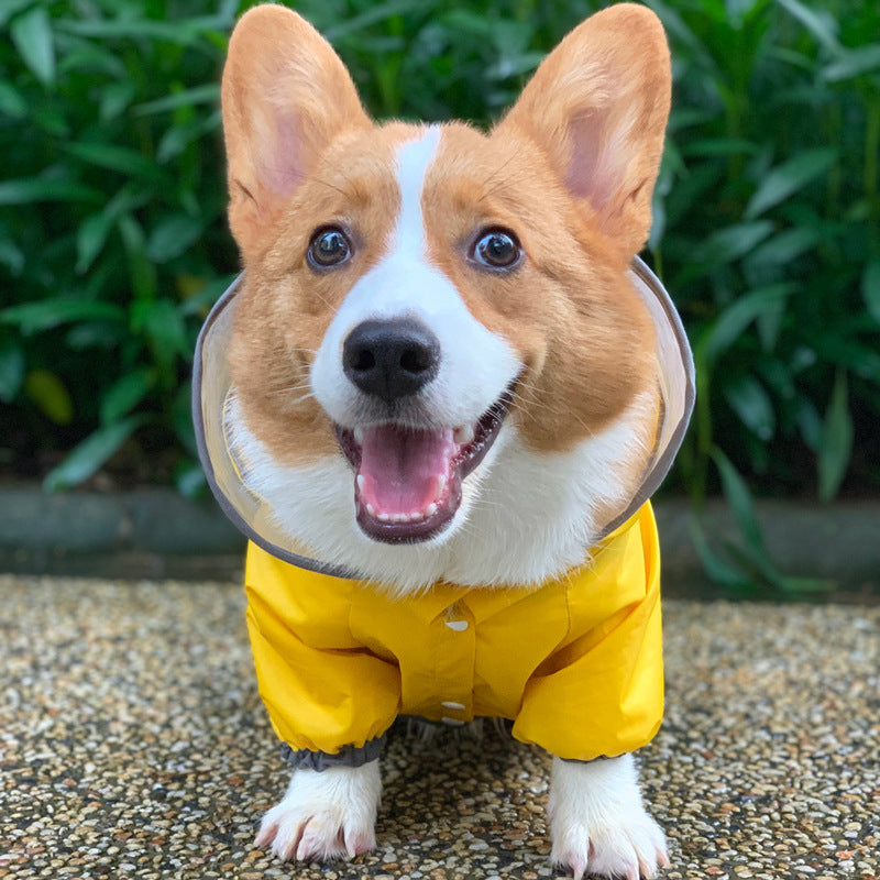 Chubasquero para perros Ropa impermeable para mascotas de cuatro patas