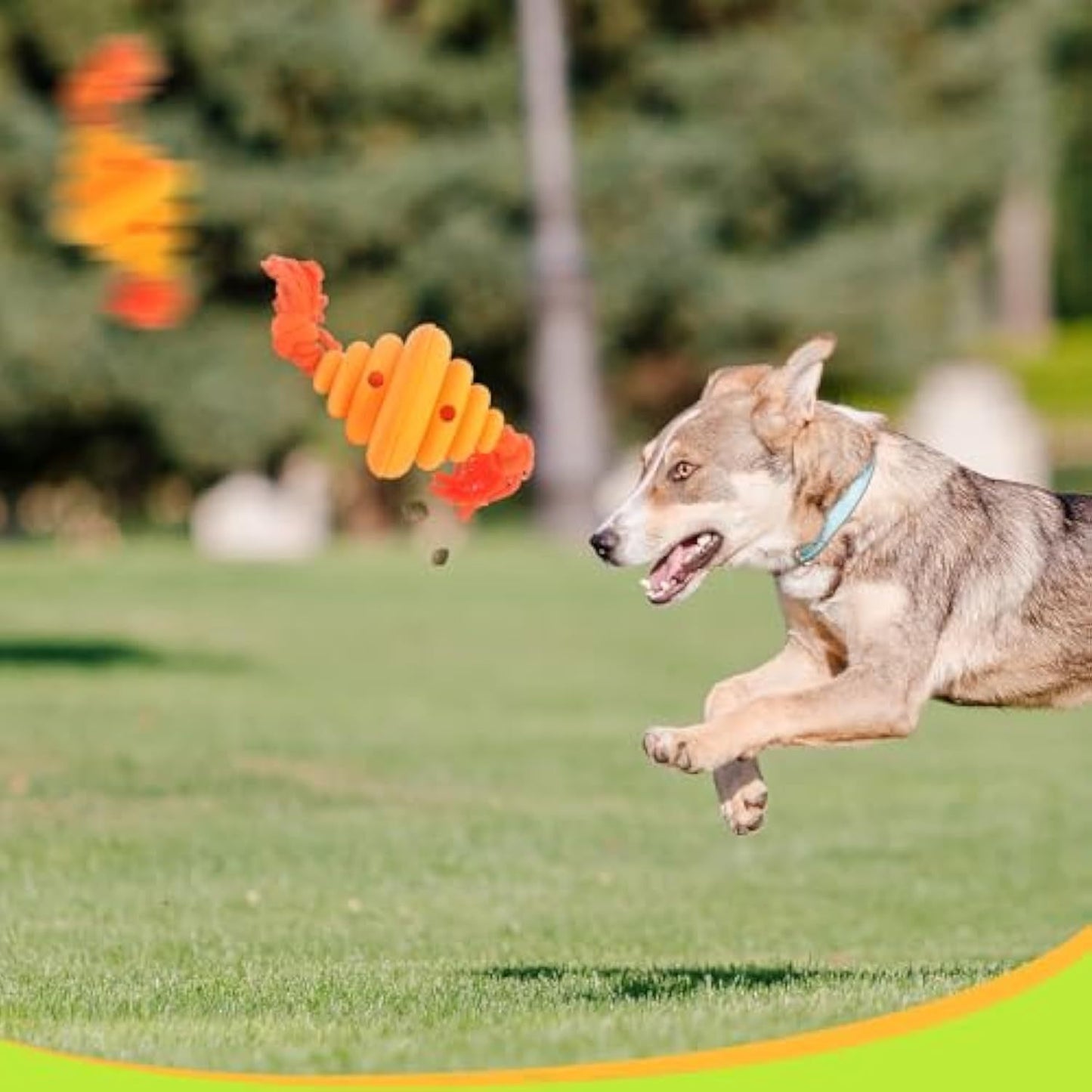 Jouet en corde pour chien, balle pour chien, jouet en corde à nœud, jouet pour chien qui fuit, jouet de dressage pour animaux de compagnie, jouet à mâcher pour chiens, jouet pour chien pour grands chiens