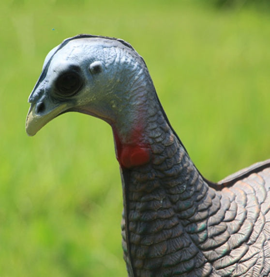 Modèle animal de simulation de cible de tir à l'arc en Turquie