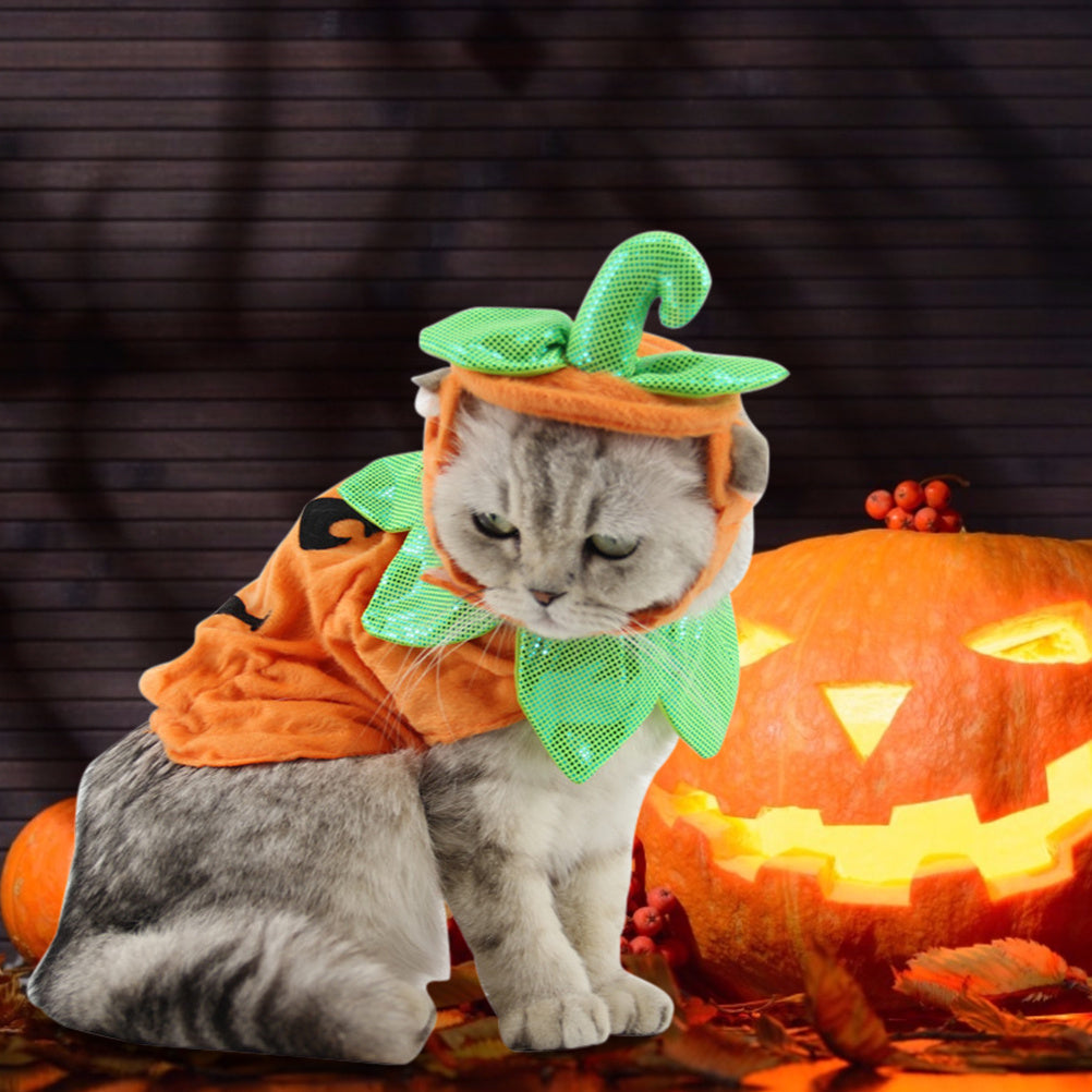 Accesorios de disfraz de gatos domésticos para Halloween, decoración creativa de hojas verdes con forma de calabaza, ropa de Cosplay, suministros de ropa para vacaciones