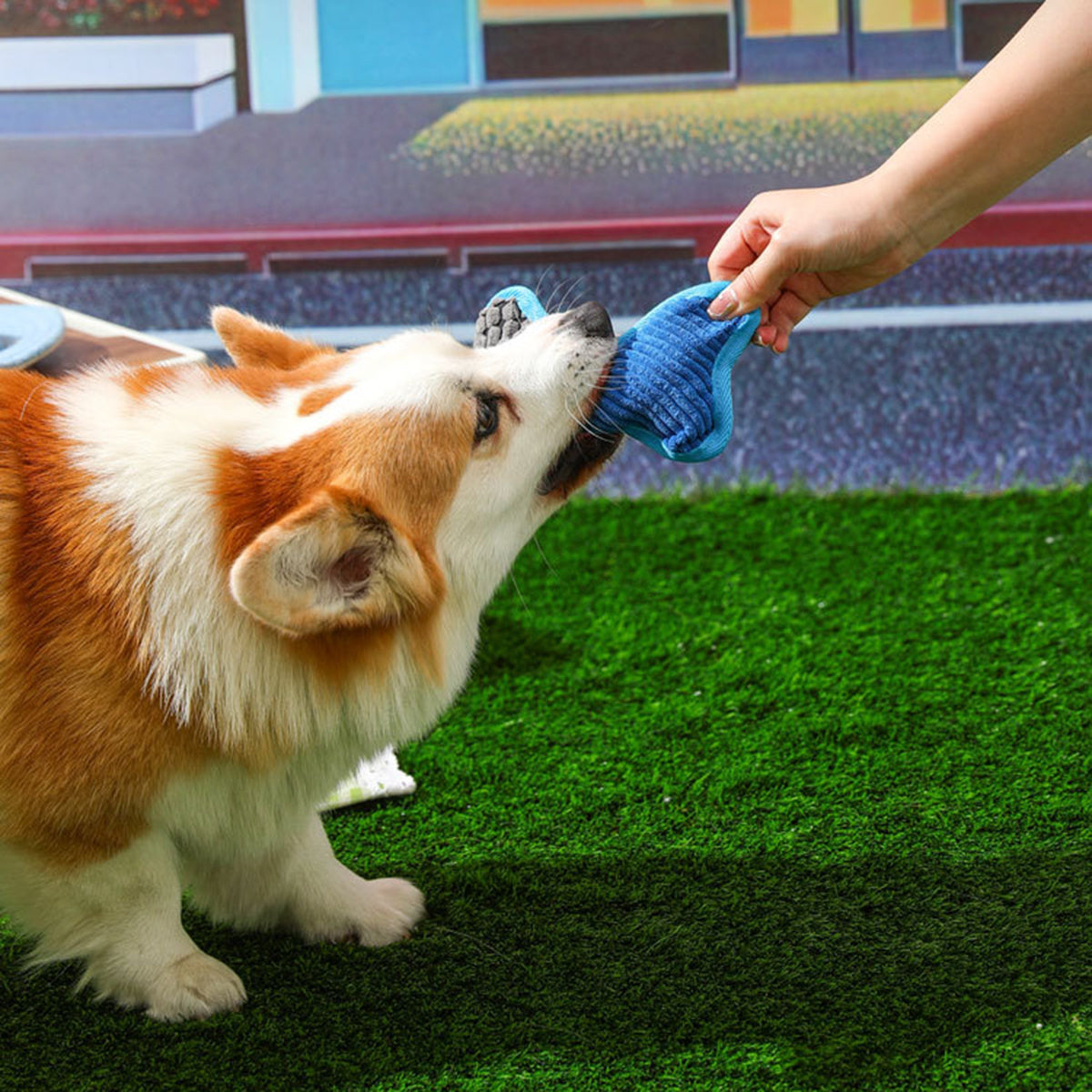 Juguete de peluche con sonido de perro, modelo de hueso resistente a las mordeduras, suministros para mascotas, forro polar de maíz, juguete para aliviar el aburrimiento 