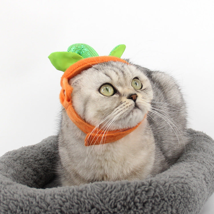 Accesorios de disfraz de gatos domésticos para Halloween, decoración creativa de hojas verdes con forma de calabaza, ropa de Cosplay, suministros de ropa para vacaciones