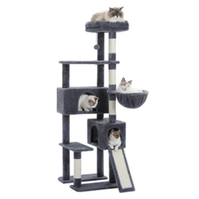 Arbre à chat à plusieurs niveaux de 60,62 pouces pour chats d'intérieur avec griffoir recouvert de sisal, condo confortable pour chat, perchoir supérieur rembourré pour chats d'intérieur