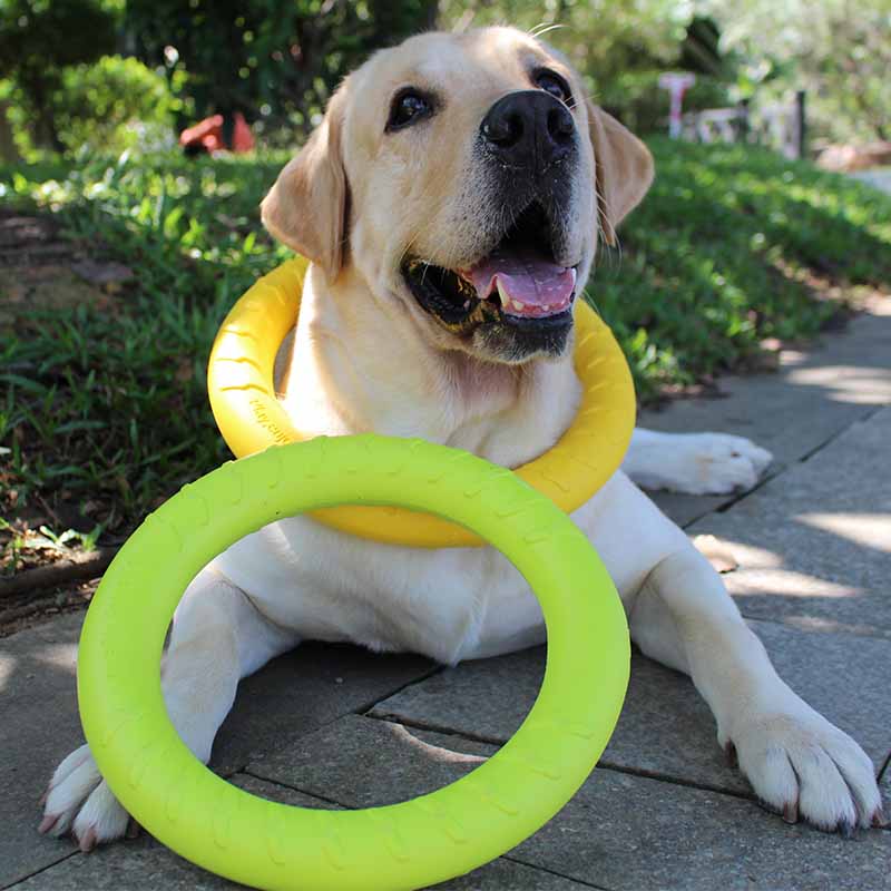 Anillo de interacción molar para cachorros resistente a mordeduras de juguete para mascotas 