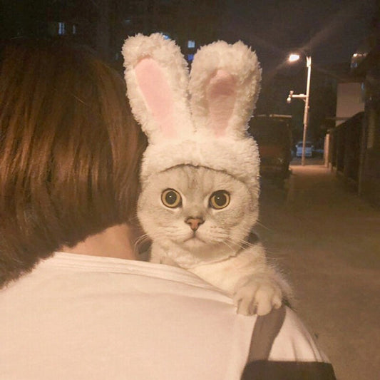 Gorro divertido para perro y gato, disfraz de fiesta de año nuevo, gorro de conejo cálido