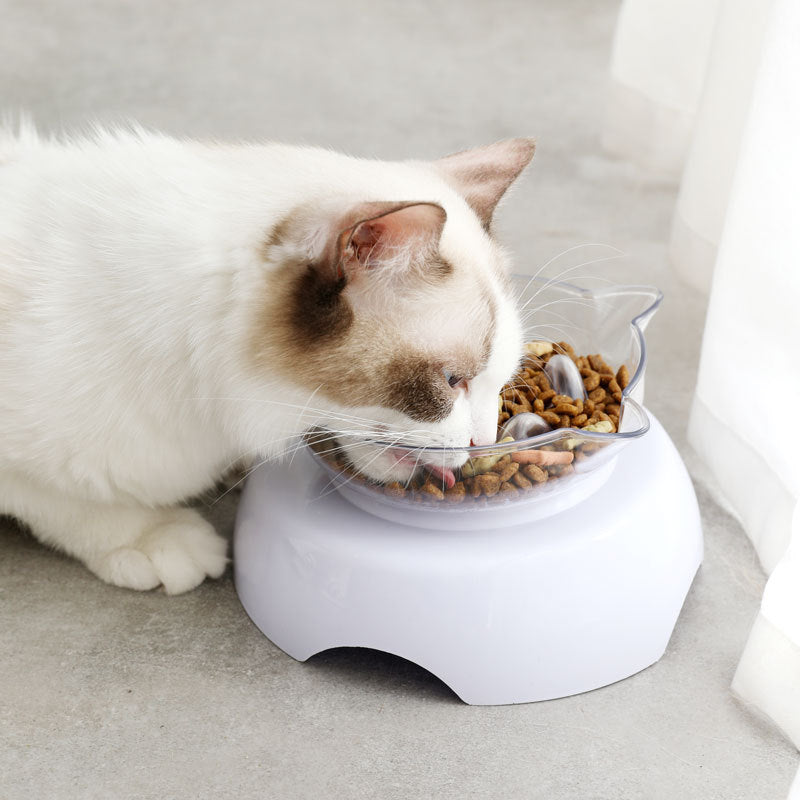 La bouche oblique protège la colonne cervicale Bol en plastique transparent pour chat