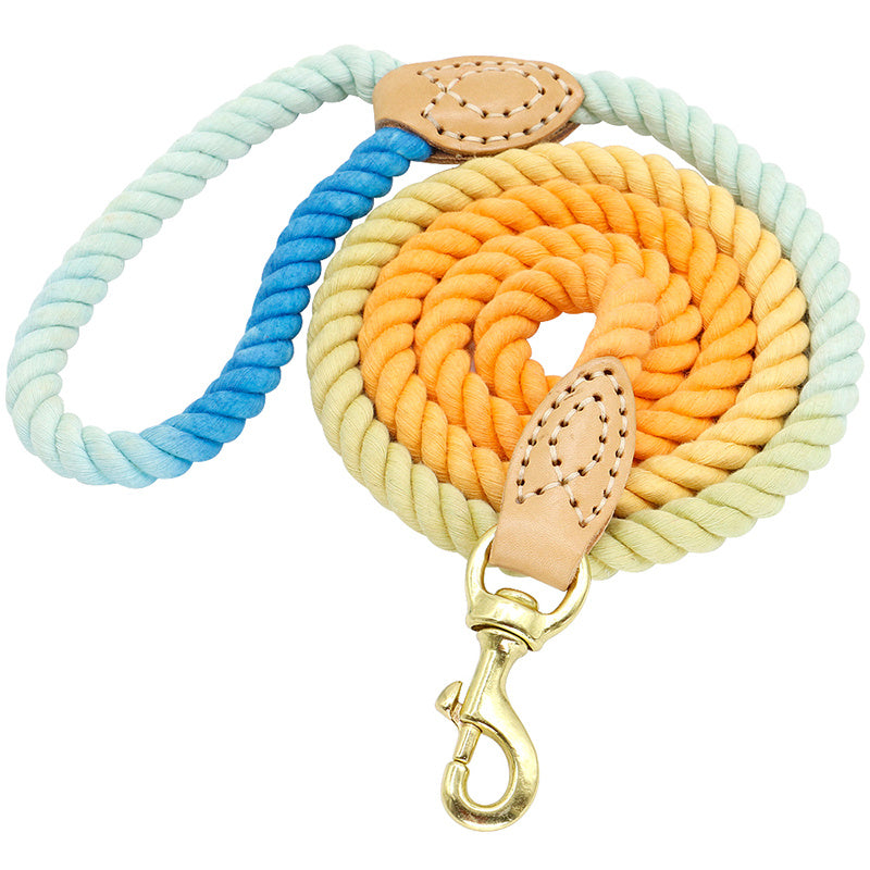 Deux-en-un glisser deux Double tête Double chien marche chien corde demi-chaîne collier petit chien