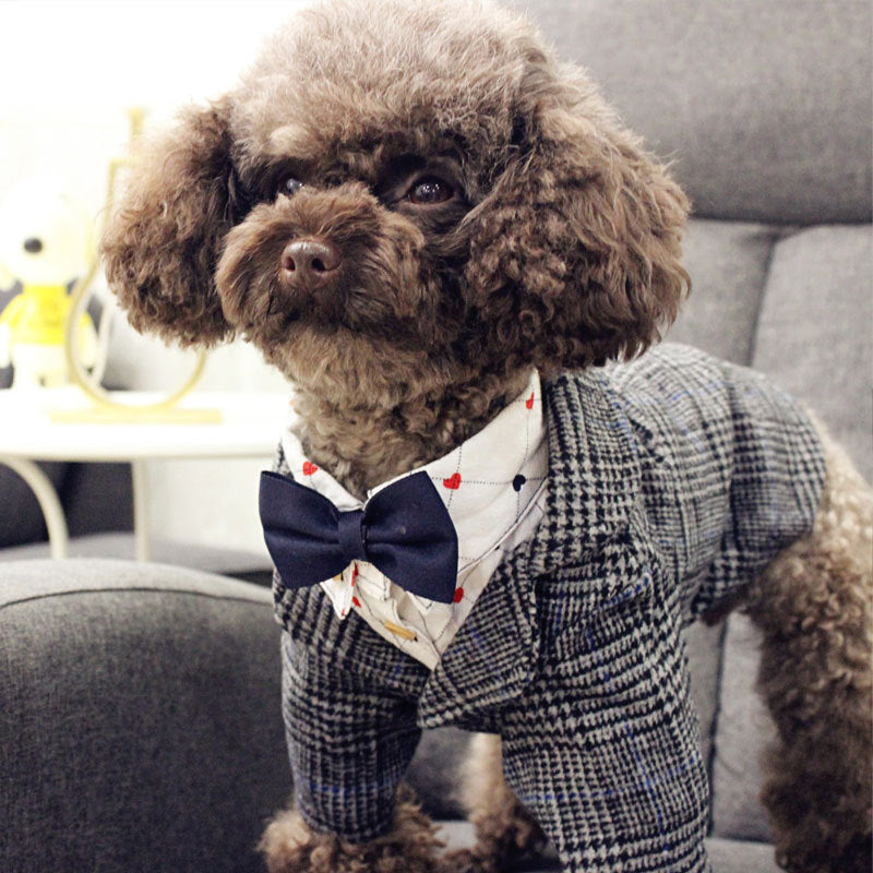 Ropa para mascotas con foto de boda