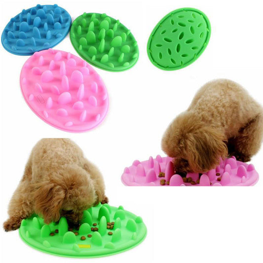 Bol de Slow Food en Silicone Anti-étranglement pour chien