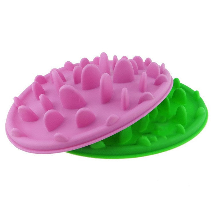 Bol de Slow Food en Silicone Anti-étranglement pour chien