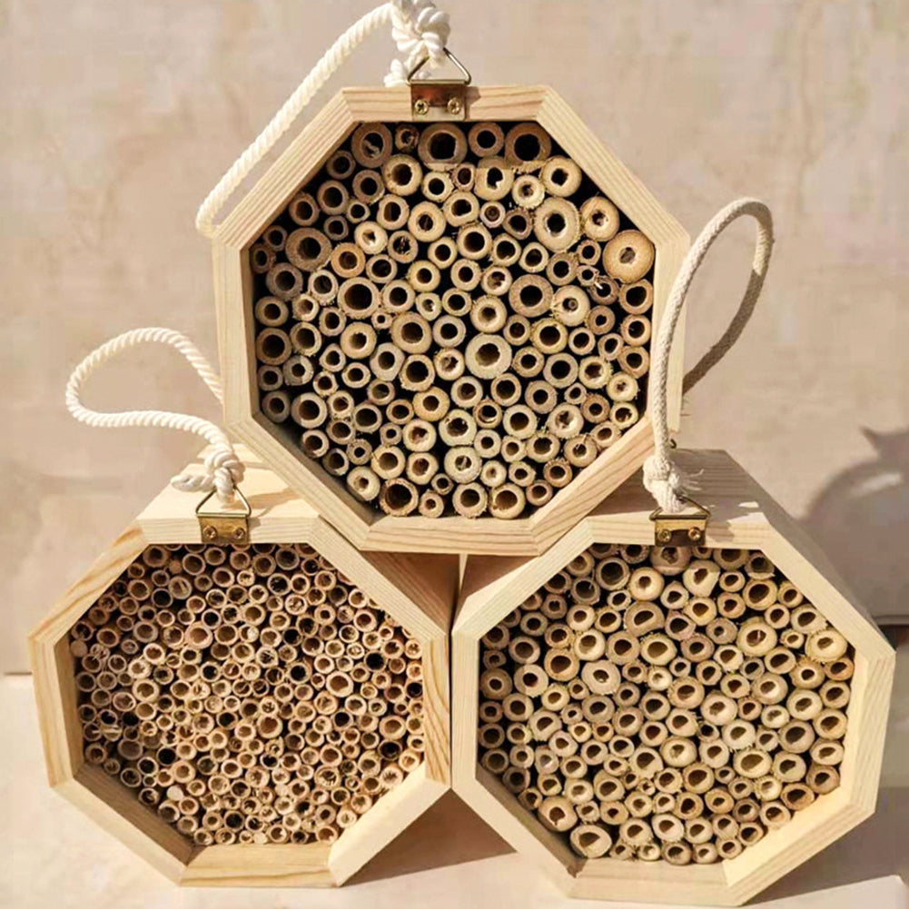 Combinación de caja de cría de abejas de madera