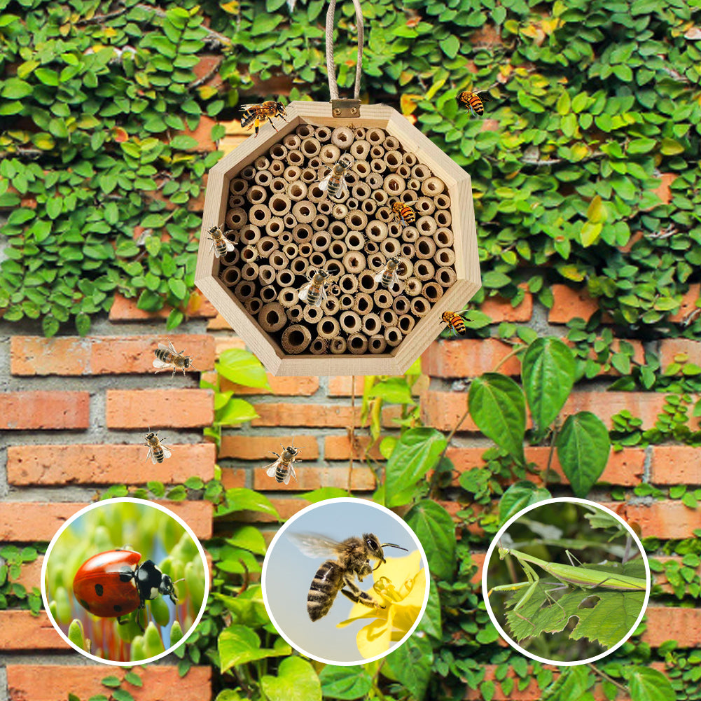 Combinación de caja de cría de abejas de madera