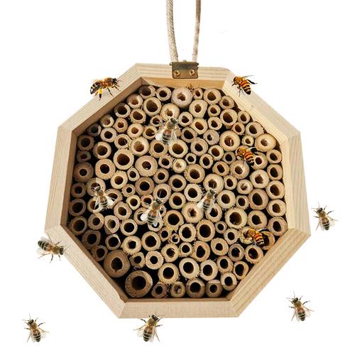 Combinaison de boîte d'élevage d'abeilles en bois