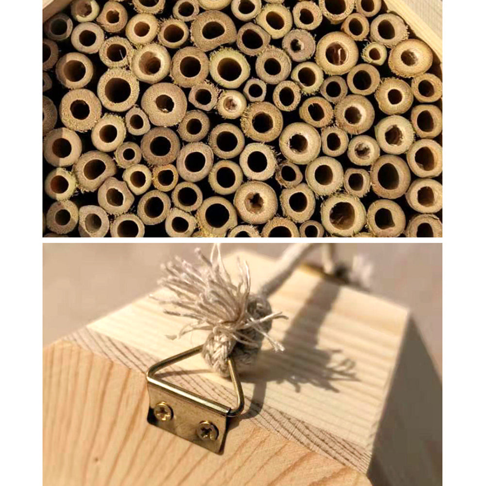 Combinaison de boîte d'élevage d'abeilles en bois