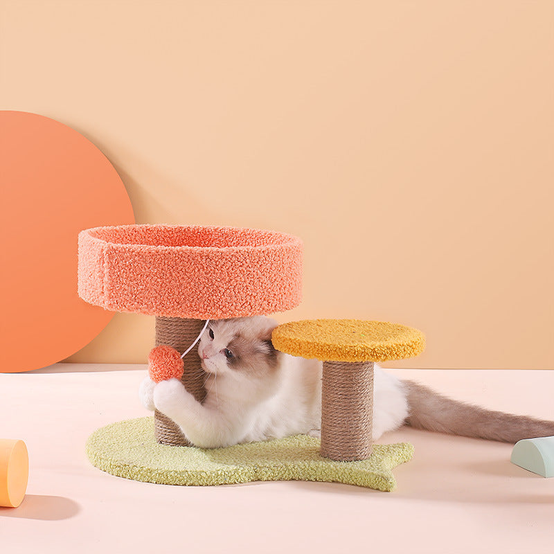 Jouet de plate-forme de saut pour petit chat Tianzhu avec nid