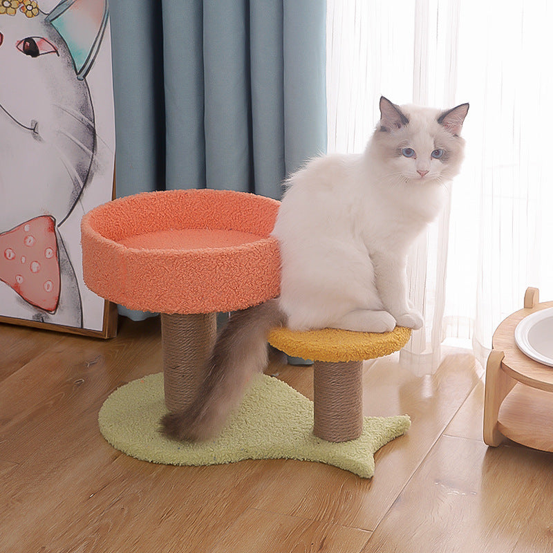 Jouet de plate-forme de saut pour petit chat Tianzhu avec nid