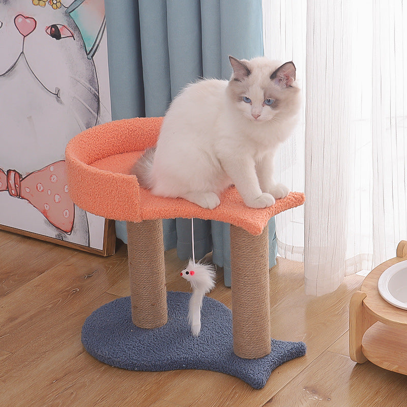 Jouet de plate-forme de saut pour petit chat Tianzhu avec nid