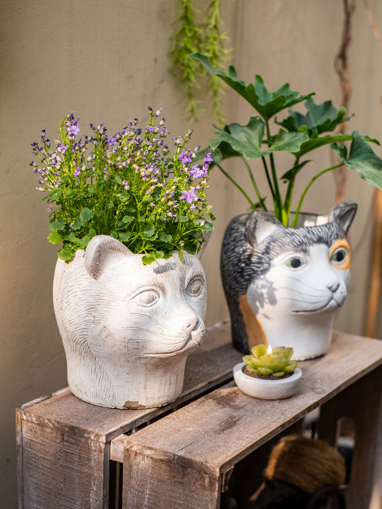 Cabeza de Animal, maceta de dibujos animados, flor de cemento suculenta, decoración de jardín y balcón