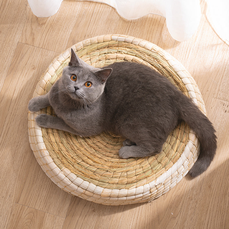 Cama para gatos Teng Wok de fieltro