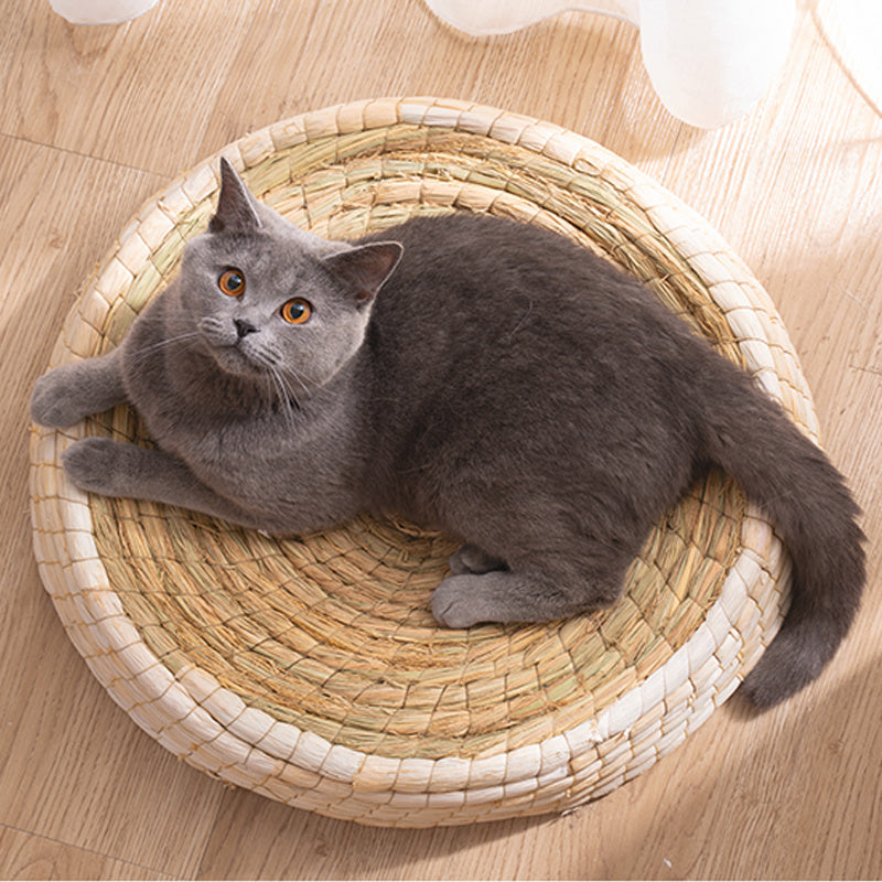 Cama para gatos Teng Wok de fieltro