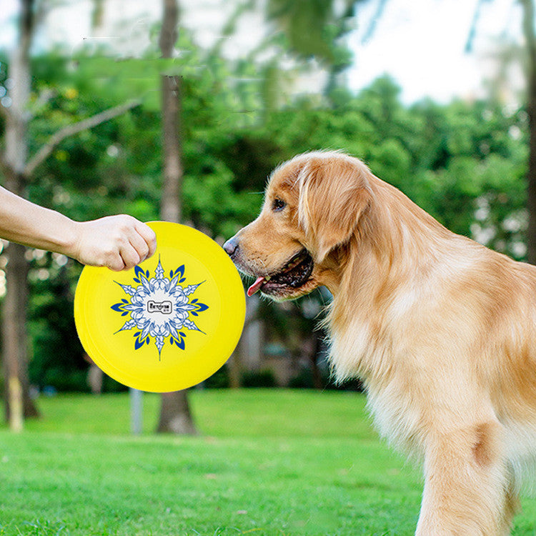 Jouet pour grand chien Golden Retriever, fournitures de dressage pour chiens, jouet flottant résistant aux morsures