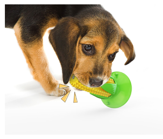 Suction Cup Corn Sound Floating On Water Dog