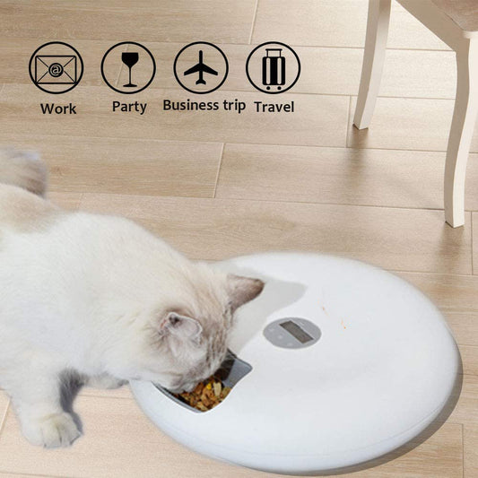 Mangeoire automatique pour animaux de compagnie, collations pour chats et chiens