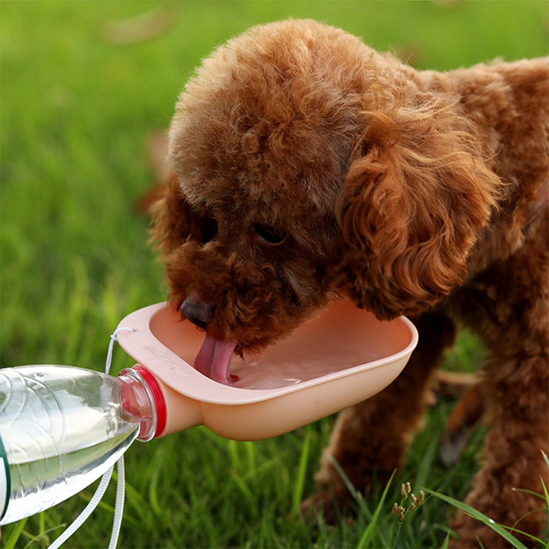 Bol à boire portable pour animaux de compagnie de couleur bonbon