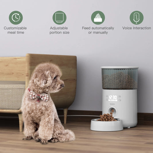 Fontaine d'eau pour animaux de compagnie, mangeoire automatique intelligente 2,5 l, bols de nourriture pour chiens, fournitures d'alimentation intelligentes à distance pour chats, alimentation USB 2 en 1