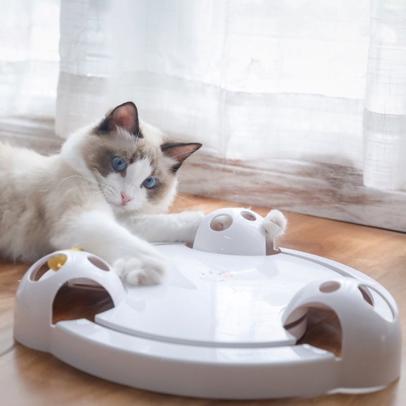 Auto-rotating Mouse Turntable Intelligent Electric Play Disc Toy