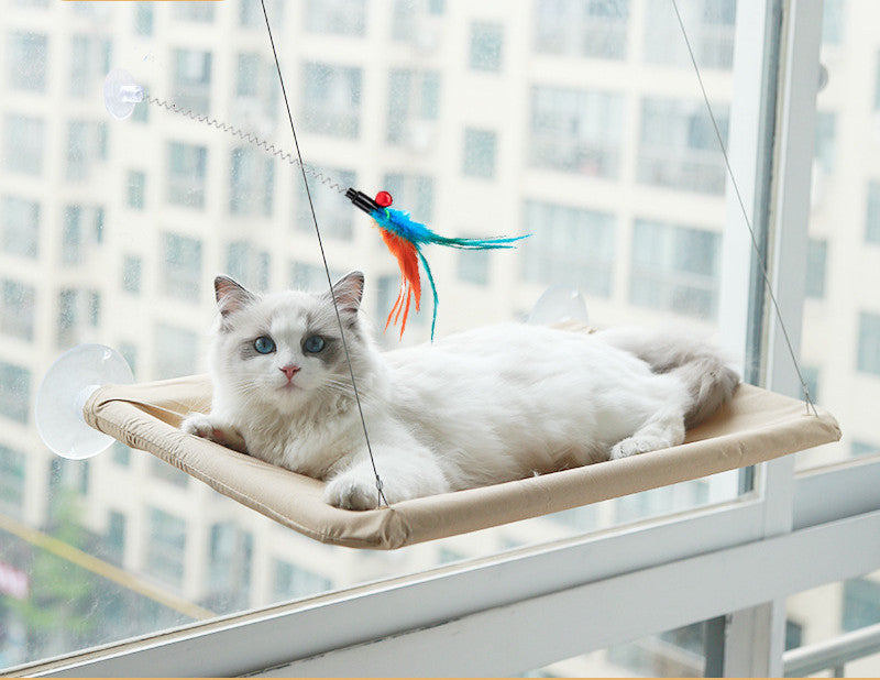 Suction Cup Hanging Bed For Summer Sunbathing Swing Cat Supplies