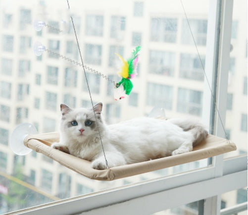 Suction Cup Hanging Bed For Summer Sunbathing Swing Cat Supplies