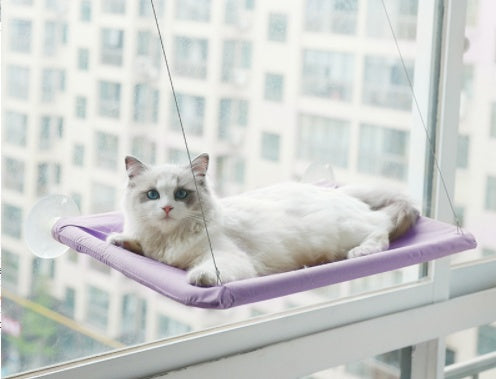 Suction Cup Hanging Bed For Summer Sunbathing Swing Cat Supplies