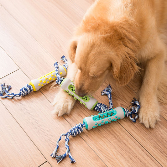 Corde à mordre pour chien, jouet de tir à la corde, balle résistante aux dents mordantes, petits et grands chiens