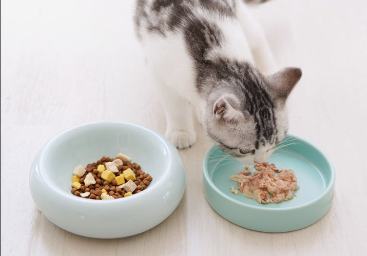 Bol pour chat à pattes courtes en céramique Mochi