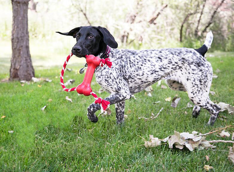 Juguete para perros resistente a mordeduras de dientes limpios con nudo de cuerda de inteligencia de caucho Natural