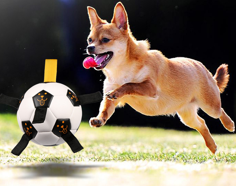 Balle pour animaux de compagnie, jouet d'extérieur, ballon de Football pour chien, corde multifonctionnelle