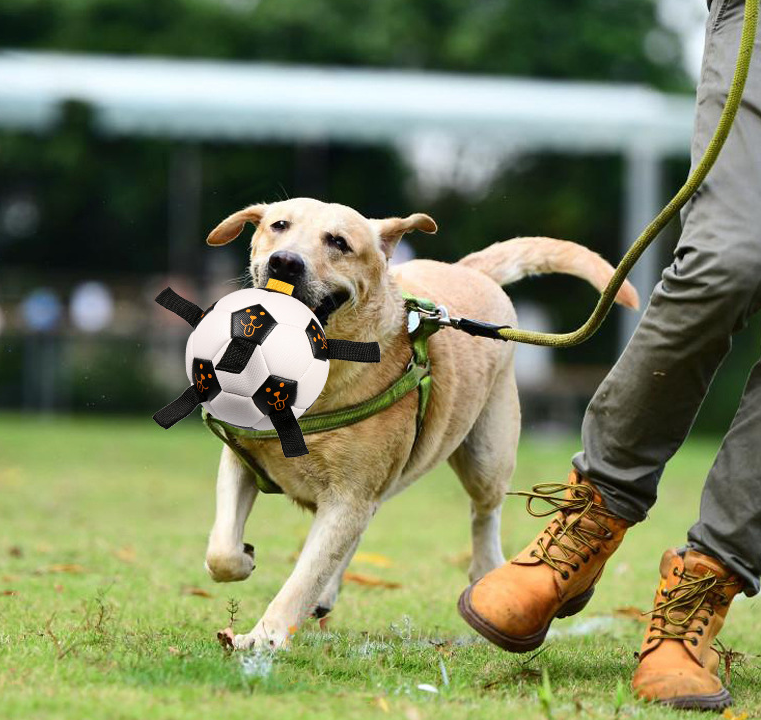 Balle pour animaux de compagnie, jouet d'extérieur, ballon de Football pour chien, corde multifonctionnelle