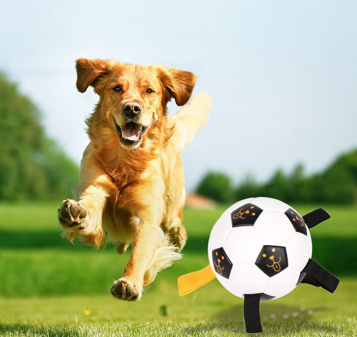 Balle pour animaux de compagnie, jouet d'extérieur, ballon de Football pour chien, corde multifonctionnelle