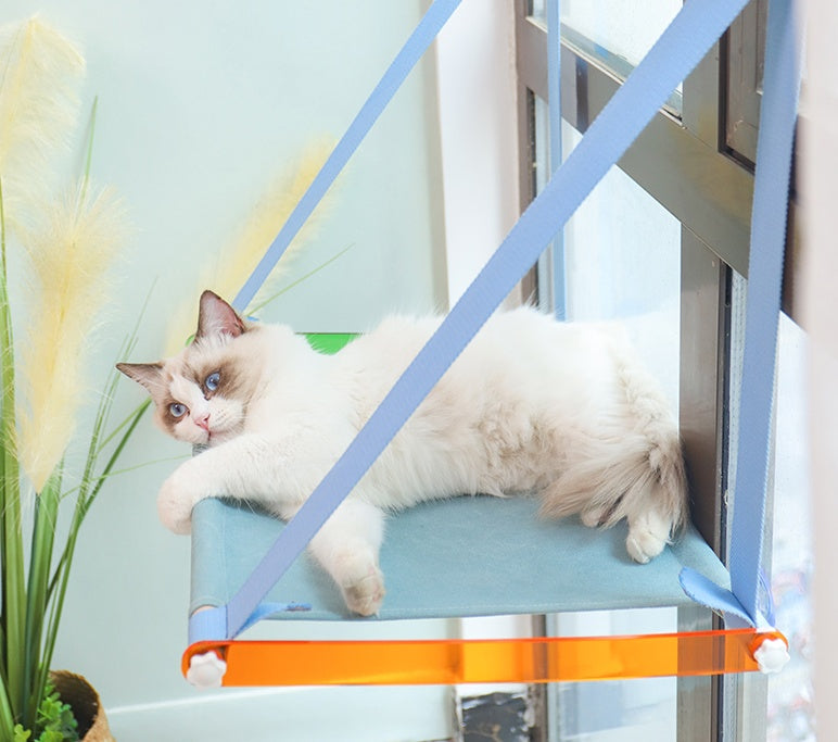 Balcony Sucker Cat Bed Basking In The Sun Cat Swing