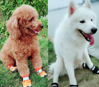 Zapatos de invierno para perros, botas reflectantes cálidas para perros, zapatos impermeables para la lluvia para perros