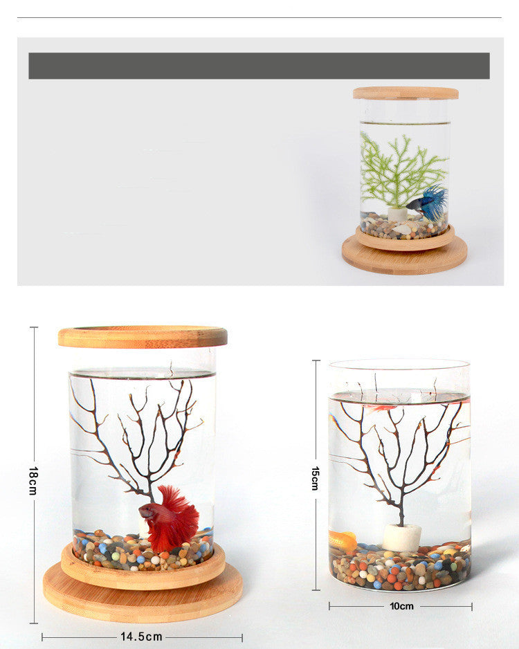 Petit aquarium en verre de bureau avec base en bambou, mini aquarium décoratif pour poisson