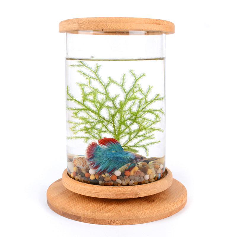 Petit aquarium en verre de bureau avec base en bambou, mini aquarium décoratif pour poisson