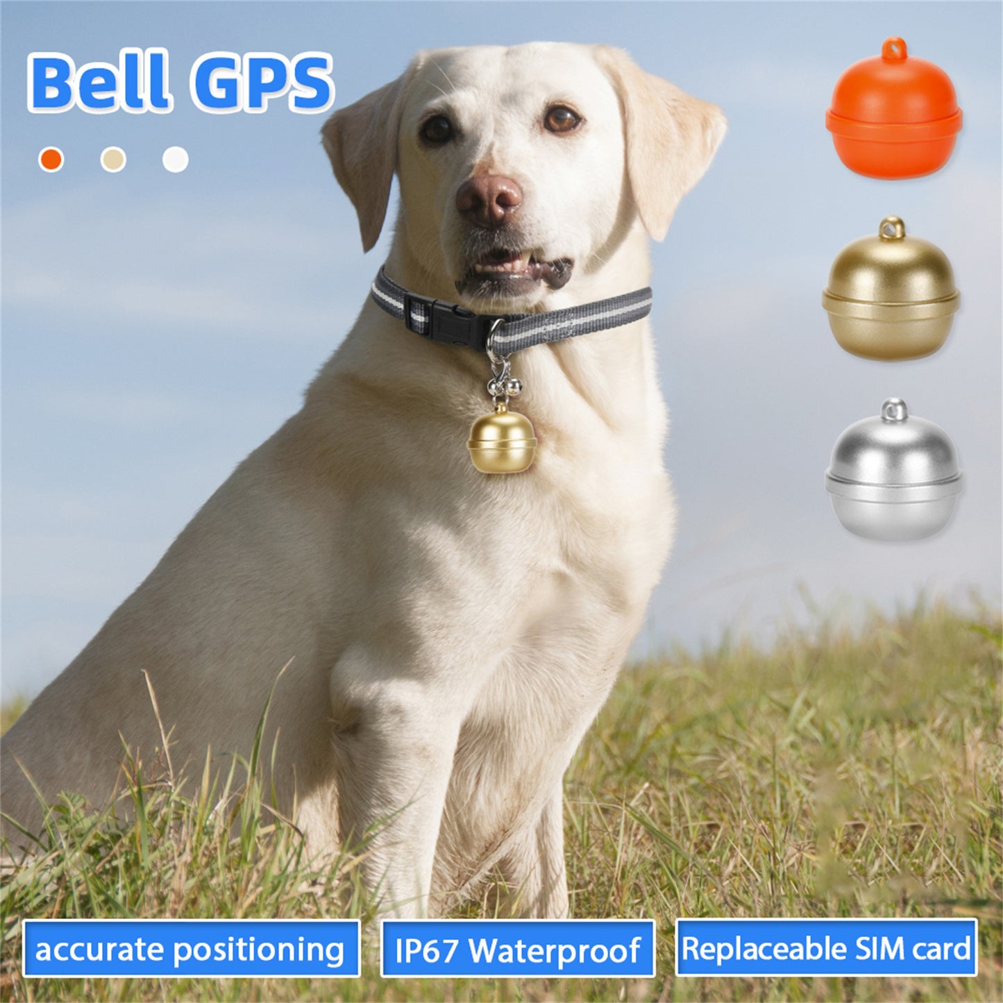 Localisateur de cloche GPS pour animaux de compagnie, étanche IP67, anneau de localisation de chat et de chien, carte Interchangeable G15